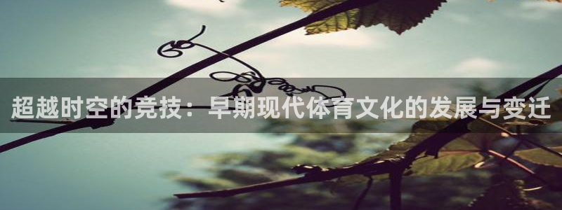 3377体育com