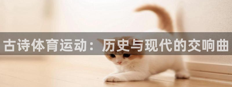 3377体育com