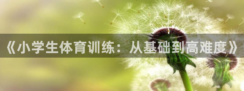 3377体育官网下载