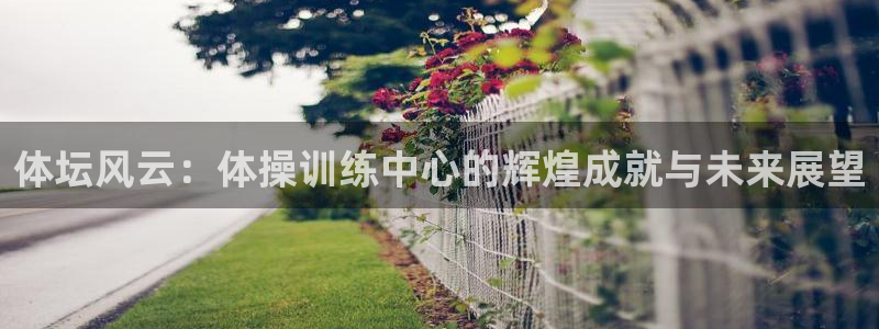 3377体育是正规平台吗：体坛风云：体操训练中心的辉煌成就与未来展望
