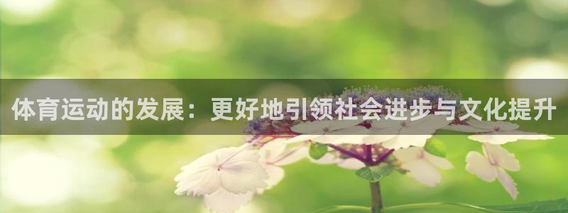 3377体育app官网下载地址