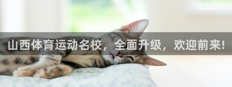 3377体育中国官方网站入口