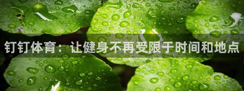 3377体育官网入口网页版