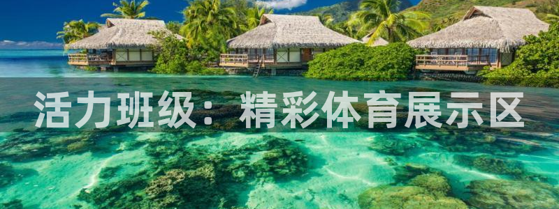 3377体育app登录入口：活力班级：精彩体育展示区