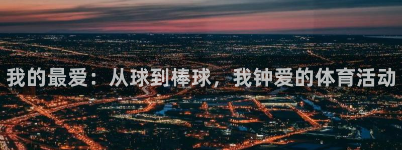 3377体育(中国)官方网站：我的最爱：从球到棒球，我钟爱的体育活动