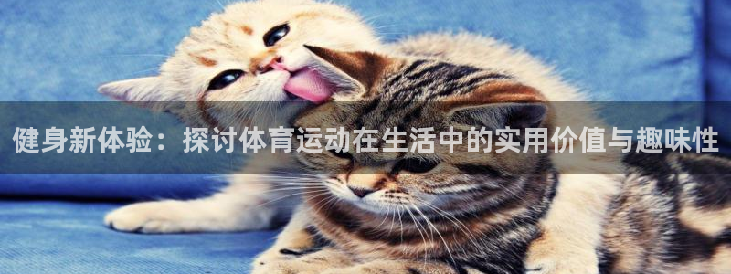 3377体育全网：健身新体验：探讨体育运动在生活中的实用价值与趣味性